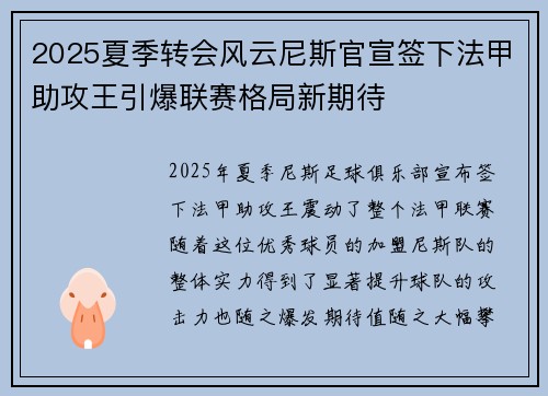 2025夏季转会风云尼斯官宣签下法甲助攻王引爆联赛格局新期待